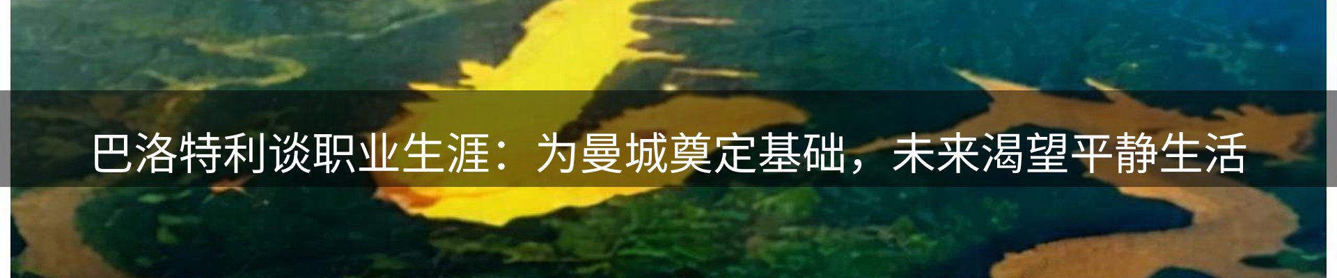行业导读